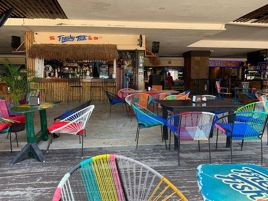 The Freshy Fish & Co